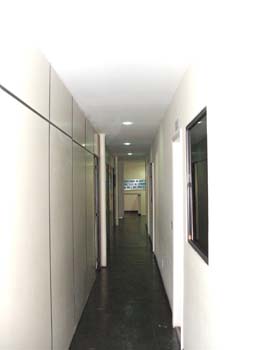 DSCF6778